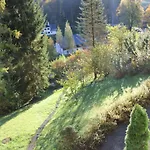 Helga Bad Goisern am Hallstättersee